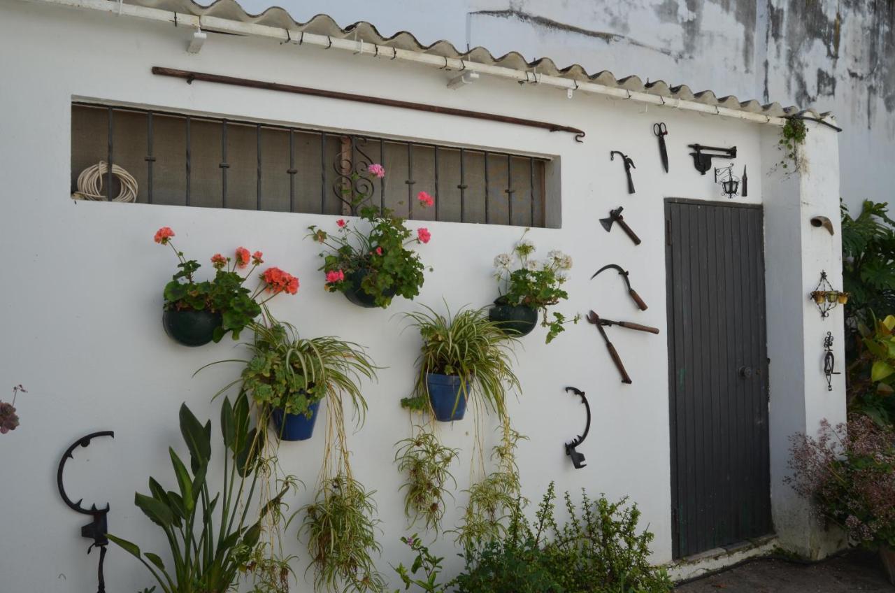 Casa Miler Apartment Sanlúcar de Barrameda Exterior photo